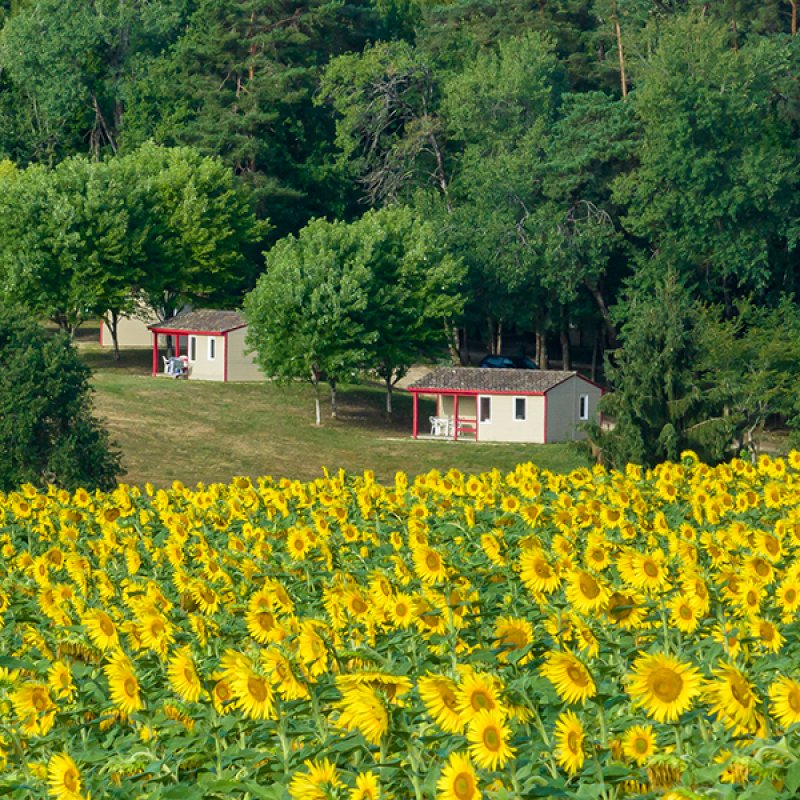 Chalet en Dordogne - La Forêt enchantée